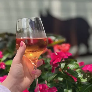 a person holding a wine glass