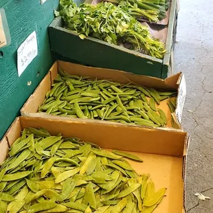 a variety of vegetables