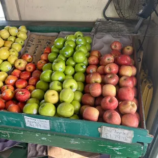 Fresh Fruit
