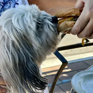 Ok!  Well both dogs love the burgers!!!