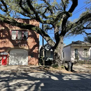Garden district homes and beautiful old growth trees.
