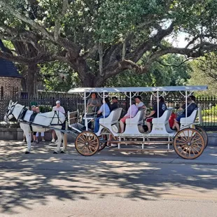 Horse drawn carriage tours are available throughout the city.