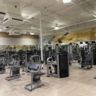 Strength Training Hammer strength &amp; Life Fitness