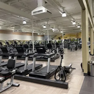 Bikes, Treads, Stair masters, Row Strength training Machines