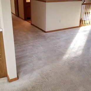 Another view of the clean carpets Andrew and his crew did.