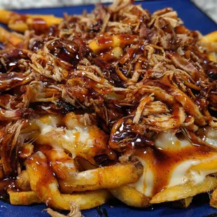 a plate of pulled pork fries