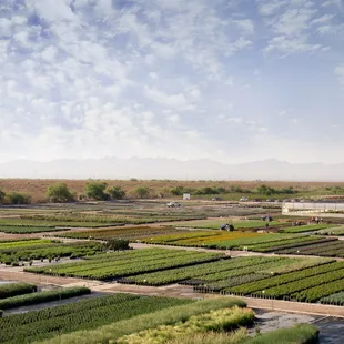 Aerial view of our 70-acre farm.