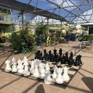 Chess set to occupy those who aren&apos;t as excited about garden shopping as you are
