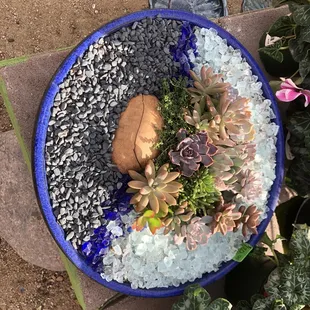 Lovely Zen garden - ready to go