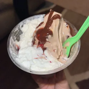 This is a regular size house sundae with chocolate custard