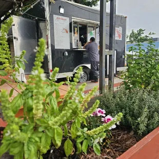 Home-grown herbs in front of the taco truck that started it all