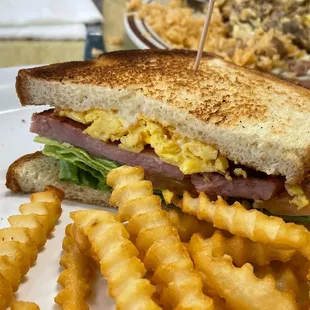 a sandwich and french fries