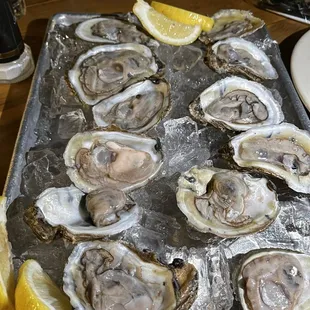 Blue Point oysters.