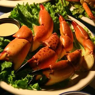 Stone Crab