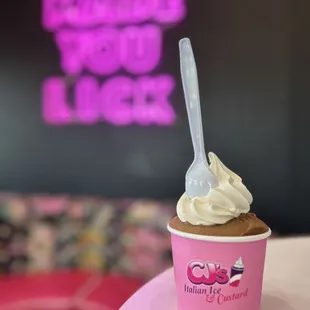 Chocolate with vanilla custard