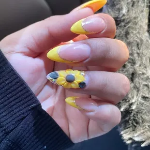 3D sunflowers spring set