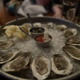 Oysters