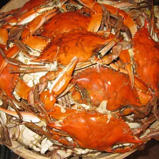 a bowl of steamed crabs