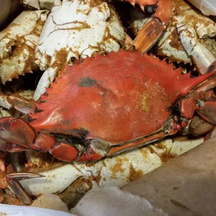 oysters and mussels, shellfish, mussels, food, oysters