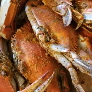 XL steamed crabs
