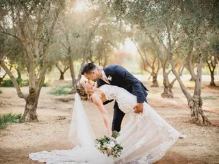 The Perfect Plan Weddings