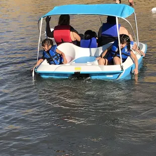 I think they were wanting to dive in lol.