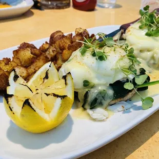 oysters and mussels, food