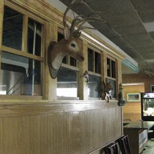 ...and some stuffed animal heads. so random for a mexican seafood place!!
