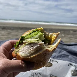 Turkey on a soft French roll