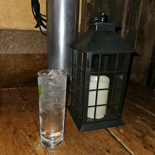 Strawberry Gin and Tonic