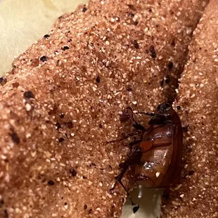 Fried beetle in food
