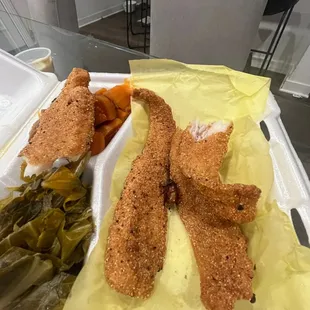 Fried beetle in food