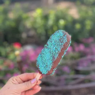 Hand-dipped Ice Cream Bars - blueberry bursts, dark chocolate, mixed berry sorbet