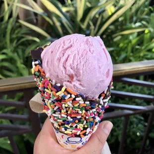 Strawberry in chocolate dipped waffle cone