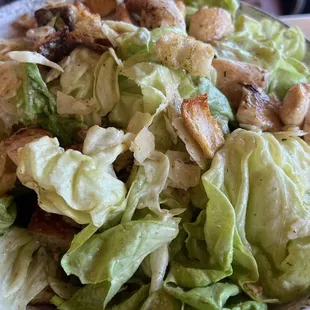 Little Gem Caesar Salad