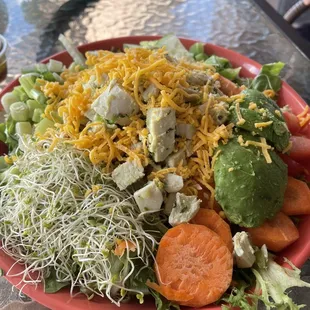 Tidbit Special Salad