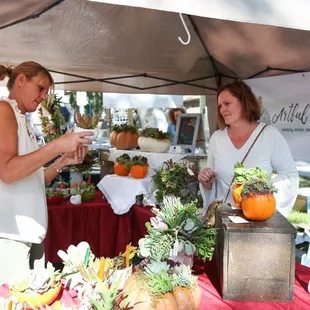 Village Venture 2017