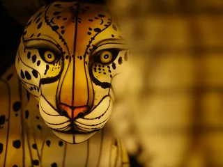 Chinese Lantern Festival