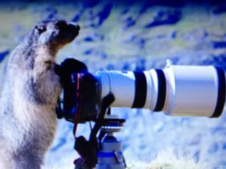 East Suffolk Recreation Center