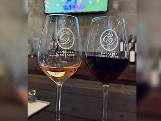 Catalina Vineyards and Winery