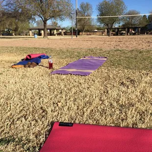 Free community yoga at 9 am