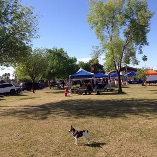 Hadley and I at market