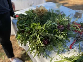 Maya's Farm