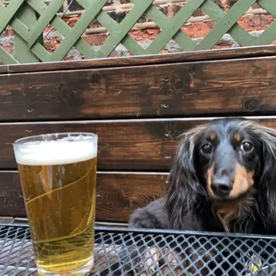 Patio, beer
