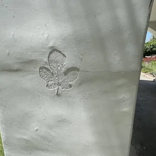 Leafs imprinted into stucco