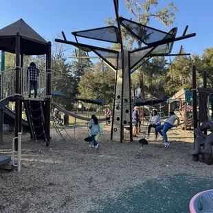 So many climbing options.