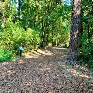 Small walking trail
