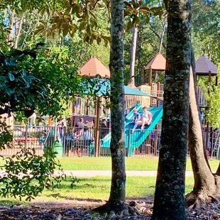 Slides from park bench