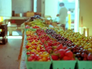The Produce Patch