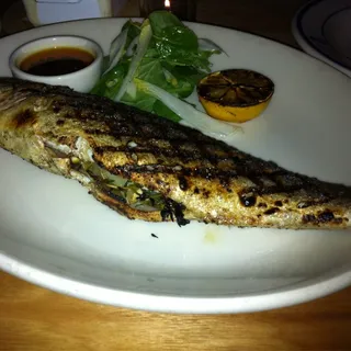 Branzino